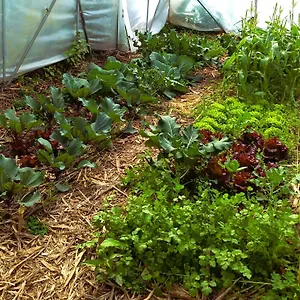 Arambha Ecovillage Tabua (Madeira)